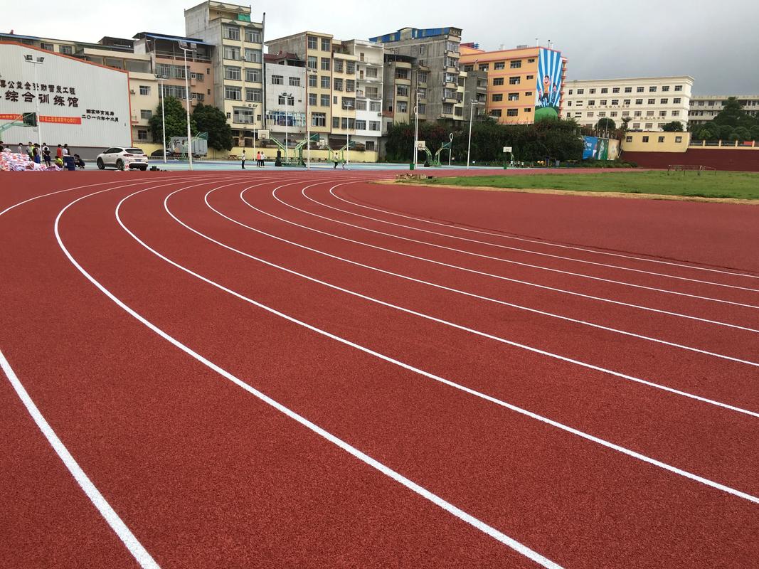 临汾市人造草坪塑胶跑道材料 - 厂家